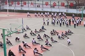 解析巴尔的摩金莺如何重塑球队文化